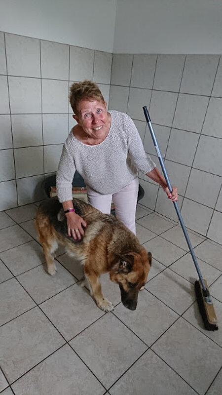 Im Hundezimmer