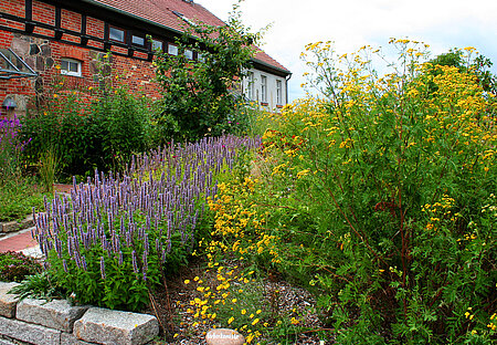 Bienenfreundlicher Garten 