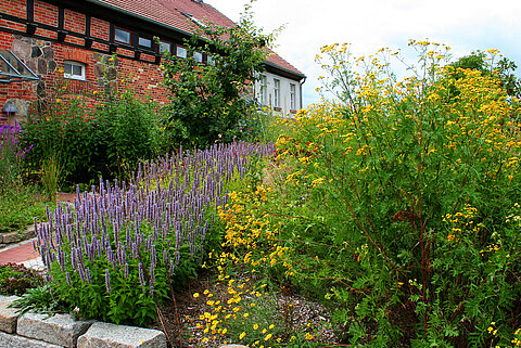 Bienenfreundlicher Garten 