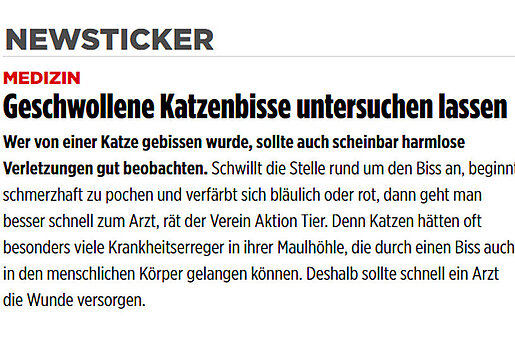 BILD, 11. April 2016