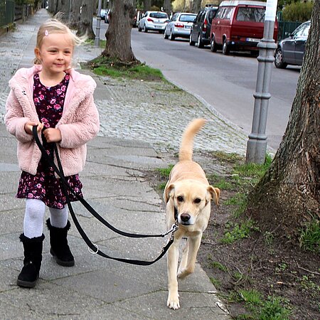 Dieses 5-jährige Mädchen ist noch nicht in der Lage, allein mit einem Hund Gassi zu gehen. Dieses 5-jährige Mädchen ist noch nicht in der Lage, allein mit einem Hund Gassi zu gehen.