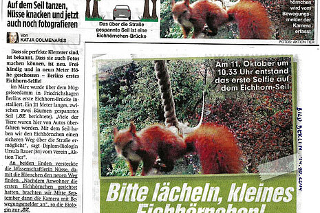 BZ und Bild Berlin berichten