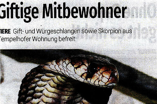 Abendblatt, 22. April 2017