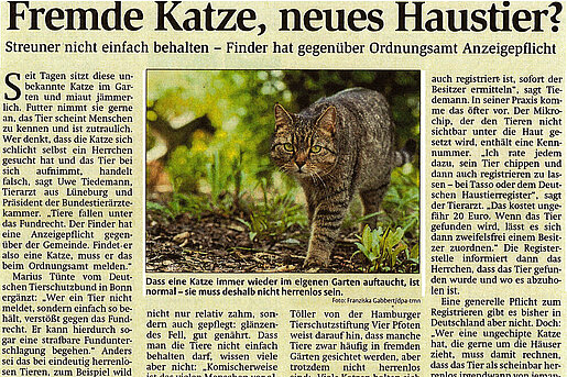Heeische Allgemeine, 25. März 2017