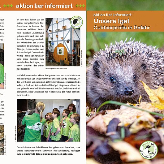 aktion tier informiert <br/>Unsere Igel - Outdoorprofis in Gefahr aktion tier Flyer UNSERE IGEL - OUTDOORPROFIS IN GEFAHR
