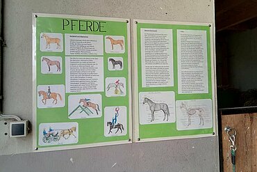 Tafeln mit Infomaterial über Pferde