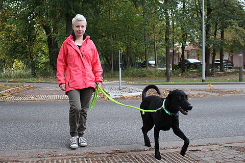 Hund mit Leuchthalsband