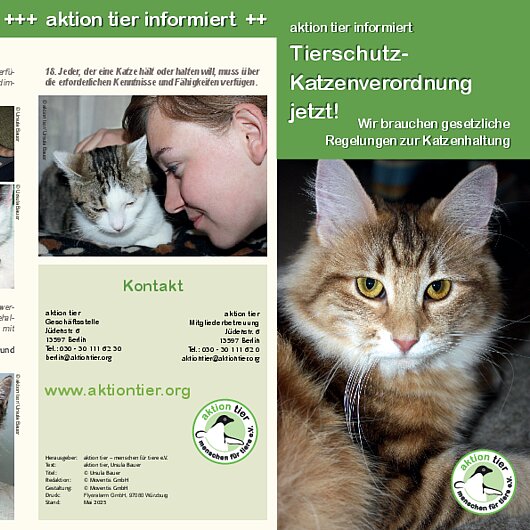 aktion tier informiert <br/>Tierschutz- Katzenverordnung jetzt!