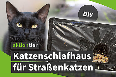 aktion tier - Katzenschlafhaus für Straßenkatzen
