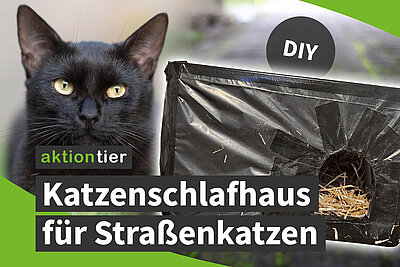 aktion tier - Katzenschlafhaus für Straßenkatzen