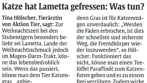 24.12.2024 | Abendzeitung | Katze hat Lametta gefressen: Was tun?