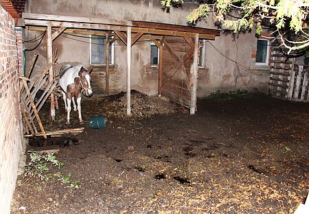 Das provisorische Tor zum Hundehof ist zerstört.
