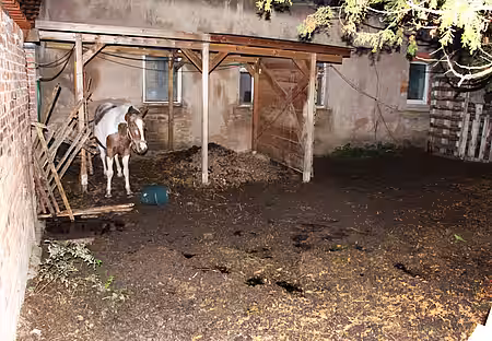 Das provisorische Tor zum Hundehof ist zerstört.