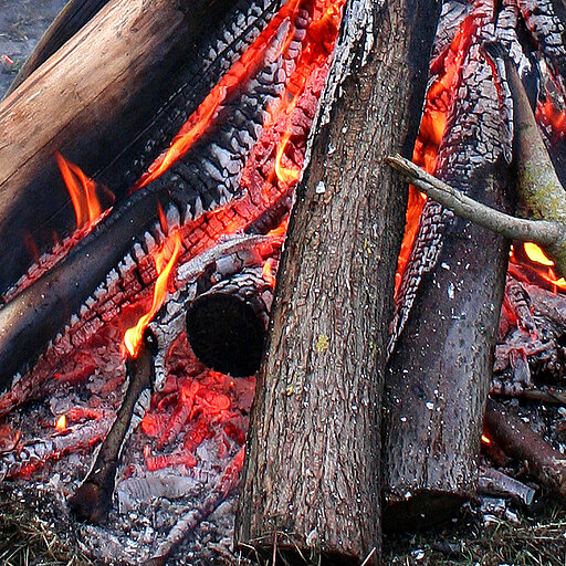 Feuer, tödliche Gefahr für Igel und Mäuse 