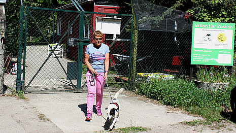 Tierheimhund Anton freut sich auf die Gassirunde mit Bärbel. 