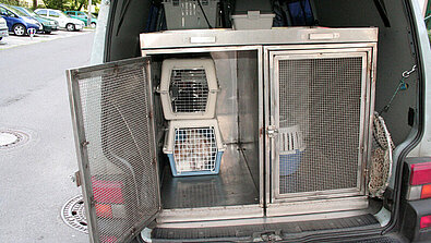 Beschlagnahmte Kaninchen