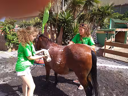 In der „Ponywaschanlage“.