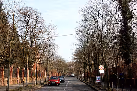 Gespanntes aktion tier Eichhörnchenseil