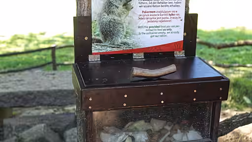 Was in dieser Box liegt, darf an die Alpen-Murmeltiere verfüttert werden