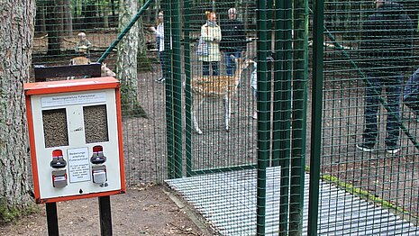Futterautomat an einem Damwildgehege