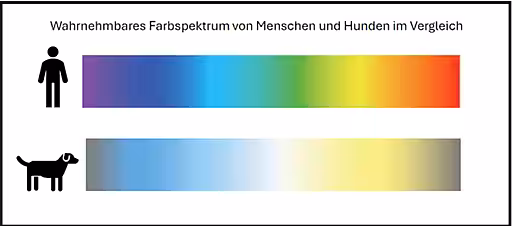Wahrnehmbares Farbspektrum von Menschen und Hunden. 