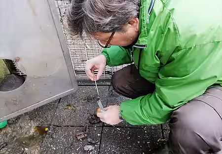 Dr. Brandes nimmt vor Ort Kotproben der Tiere