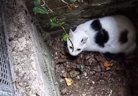 Theo kauert verängstigt am Boden.