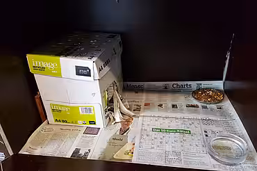 Winterschlaflager für Igel