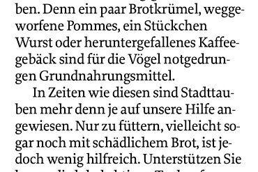 Stadttauben brauchen Hilfe – Mittelbayrische