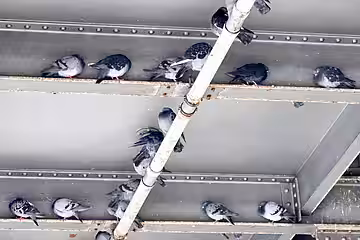 Wer Glück hat, ergattert ein armseliges Plätzchen unter der Brücke