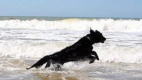 Hurra, der Sommer ist da! Nix wie ab ins Wasser... © Ursula Bauer