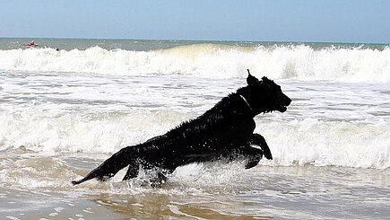 Hurra, der Sommer ist da! Nix wie ab ins Wasser... © Ursula Bauer