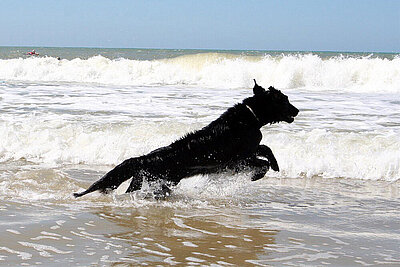 Hurra, der Sommer ist da! Nix wie ab ins Wasser... © Ursula Bauer