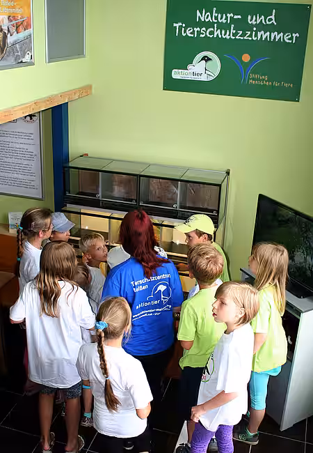 Eröffnung Tierschutzzimmer aktion tier Meissen