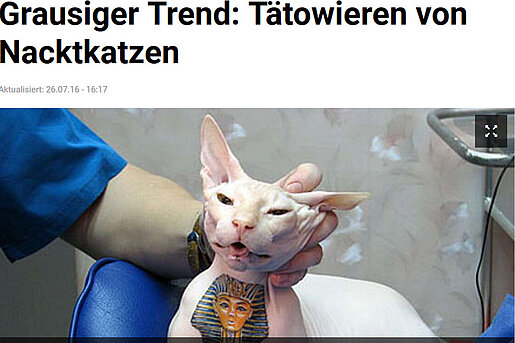 TZ, 25. Juli 2016