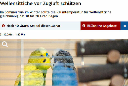 Rhein-Neckar-Zeitung, 21.10.16