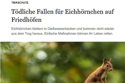 Berliner Morgenpost, 14.11.2016