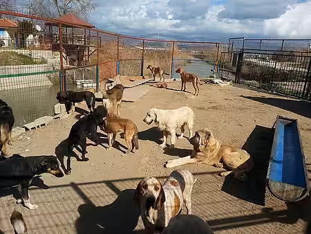 Tierheim Manavgat Tierheim Manavgat