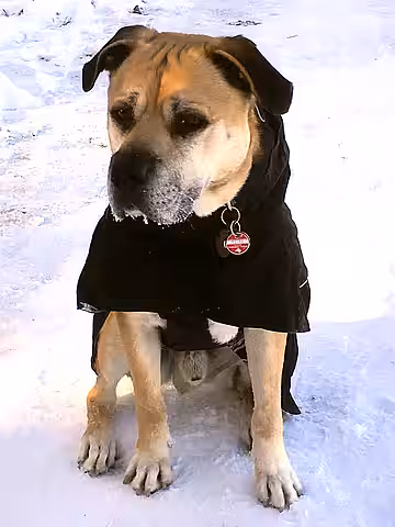 Otto hatte Glück, ein so tolles Zuhause zu bekommen. Otto hatte Glück, ein so tolles Zuhause zu bekommen.
