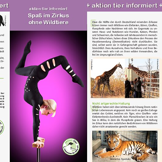 aktion tier informiert <br/>Spaß im Zirkus ohne Wildtiere Flyer ZIRKUS OHNE WILDTIERE