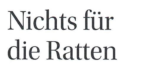 10.02.2025 | Mitteldeutsche Zeitung | Nichts für die Ratten