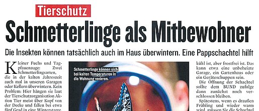 26.02.2025 | Berliner Kurier | Schmetterlinge als Mitbewohner