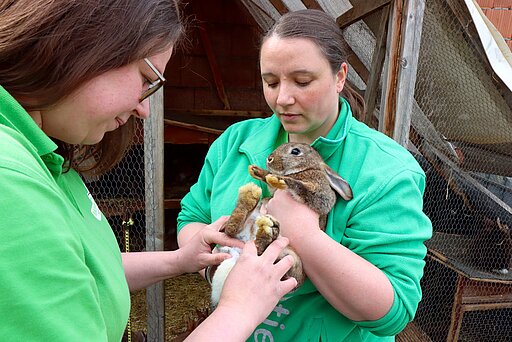 Geschlechtsbestimmung der Kaninchen durch die beiden Tierheimleiterinnen Myriam Laser (li) und Michaela Gebhardt.