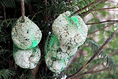 Vogelfutter in Plastiknetzen