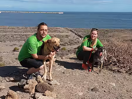 Bei sonnigen 27 Grad freuen sich Mensch und Tier auf einen Spaziergang zum Strand.