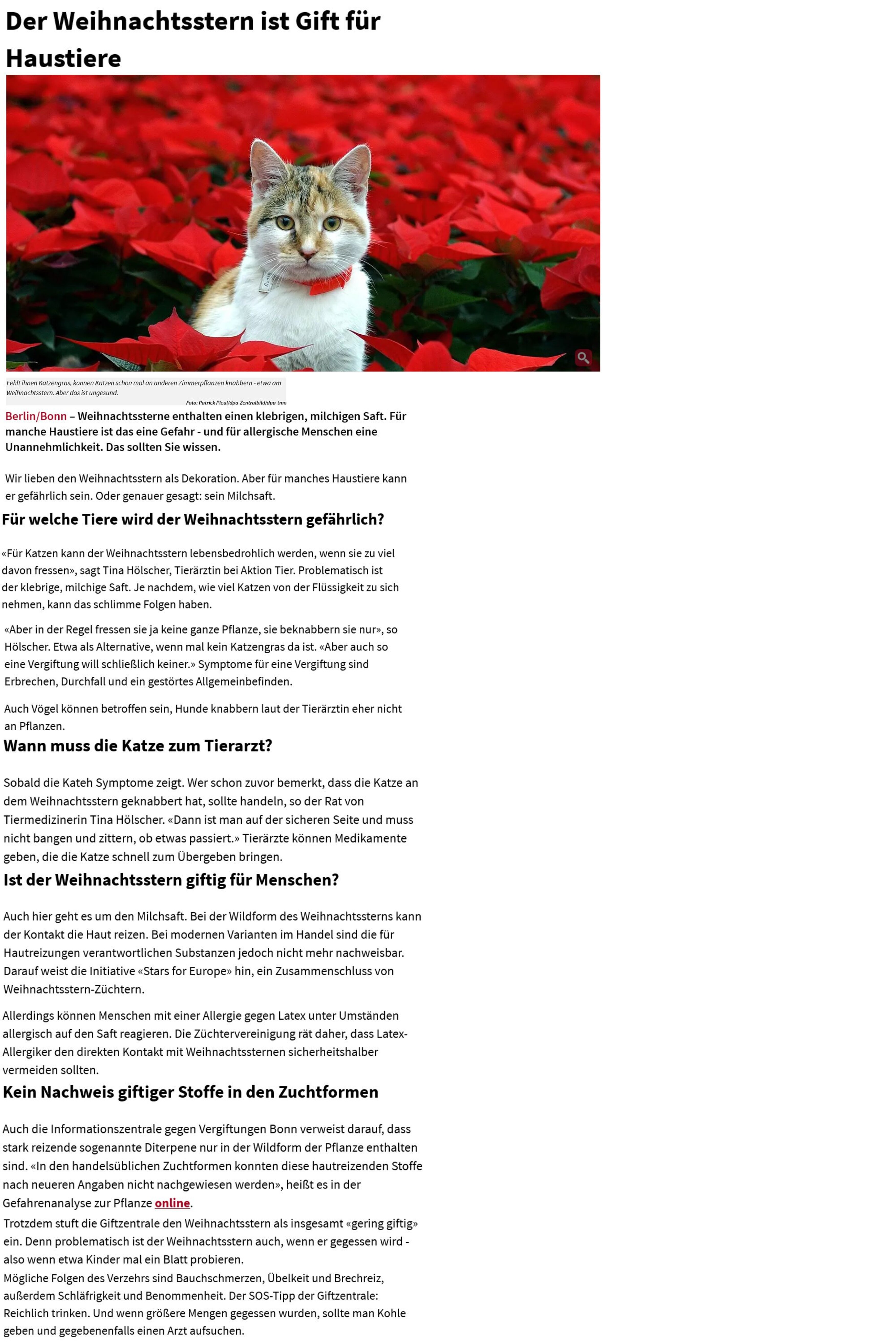 aktion tier  Menschen fr Tiere e.V.: Archiv Pressespiegel