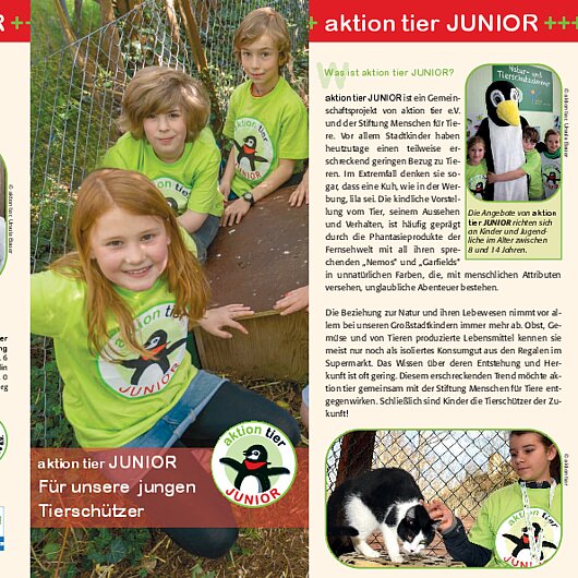 aktion tier Flyer JUNIOR 