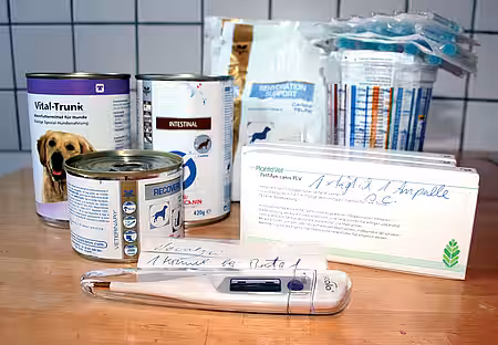 Medikamente gegen Parvovirose und Parasiten.