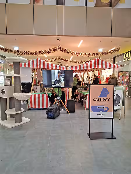 Ein Blick auf die Infostände und ein Schild des Cats Day