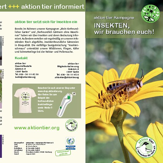 aktion tier Kampagne <br/> Insekten, wir brauchen euch!